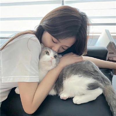 暗金烂狗