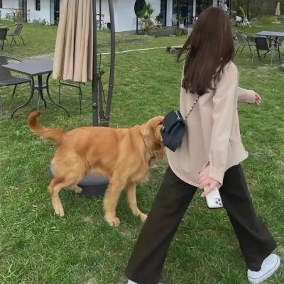非常警事